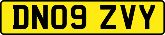 DN09ZVY