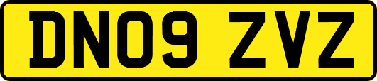 DN09ZVZ