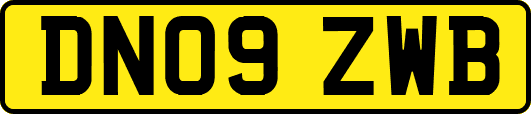 DN09ZWB