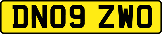 DN09ZWO