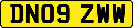 DN09ZWW