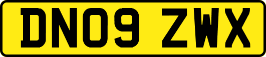 DN09ZWX