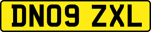 DN09ZXL