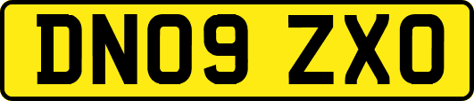 DN09ZXO