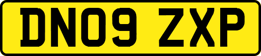 DN09ZXP