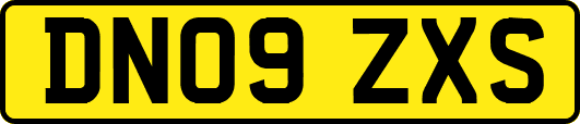 DN09ZXS