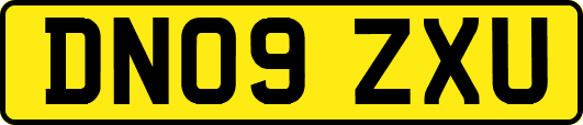 DN09ZXU