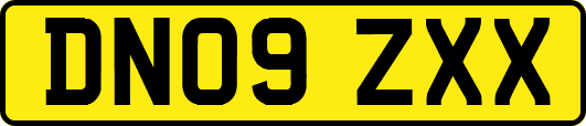DN09ZXX