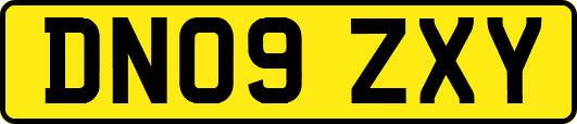 DN09ZXY