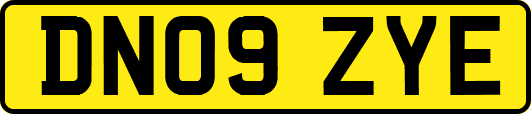 DN09ZYE