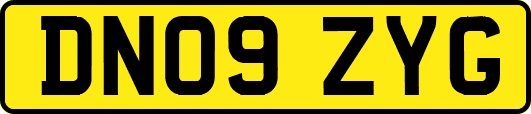 DN09ZYG