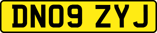 DN09ZYJ