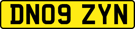 DN09ZYN