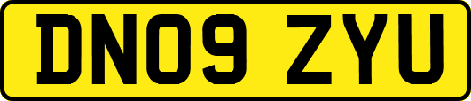 DN09ZYU