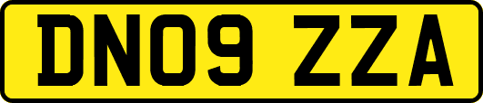 DN09ZZA