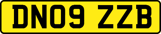 DN09ZZB