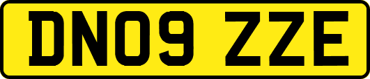 DN09ZZE