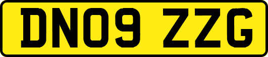 DN09ZZG