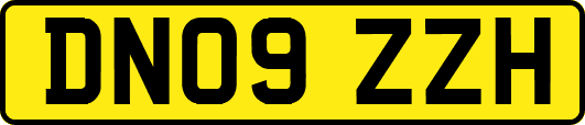 DN09ZZH
