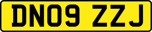 DN09ZZJ