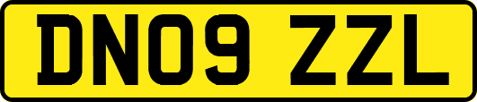 DN09ZZL