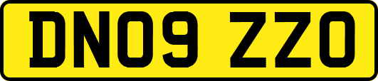 DN09ZZO