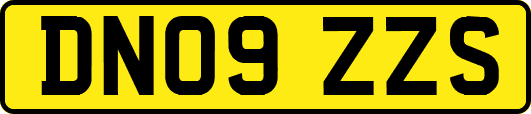 DN09ZZS
