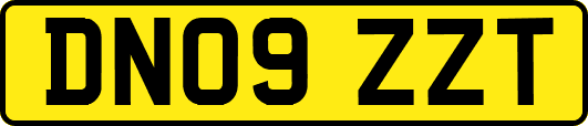 DN09ZZT