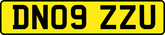 DN09ZZU