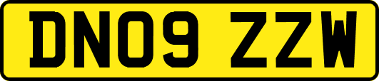 DN09ZZW