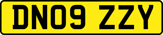 DN09ZZY