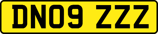 DN09ZZZ