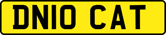 DN10CAT