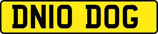 DN10DOG