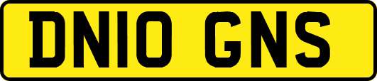 DN10GNS