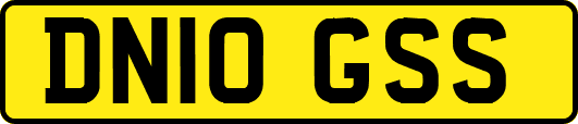 DN10GSS