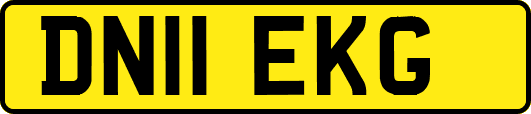 DN11EKG