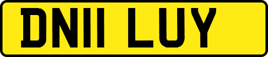 DN11LUY