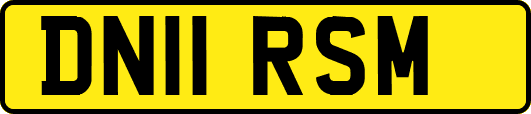 DN11RSM