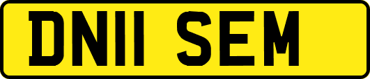 DN11SEM