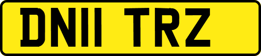 DN11TRZ