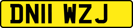 DN11WZJ