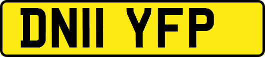 DN11YFP