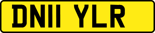 DN11YLR