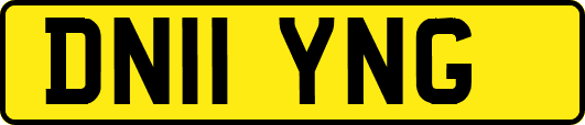 DN11YNG