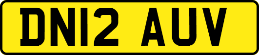 DN12AUV