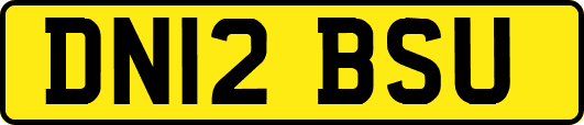 DN12BSU