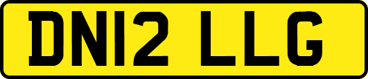 DN12LLG