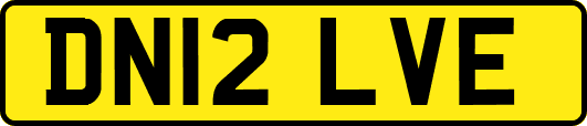 DN12LVE