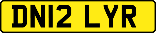 DN12LYR